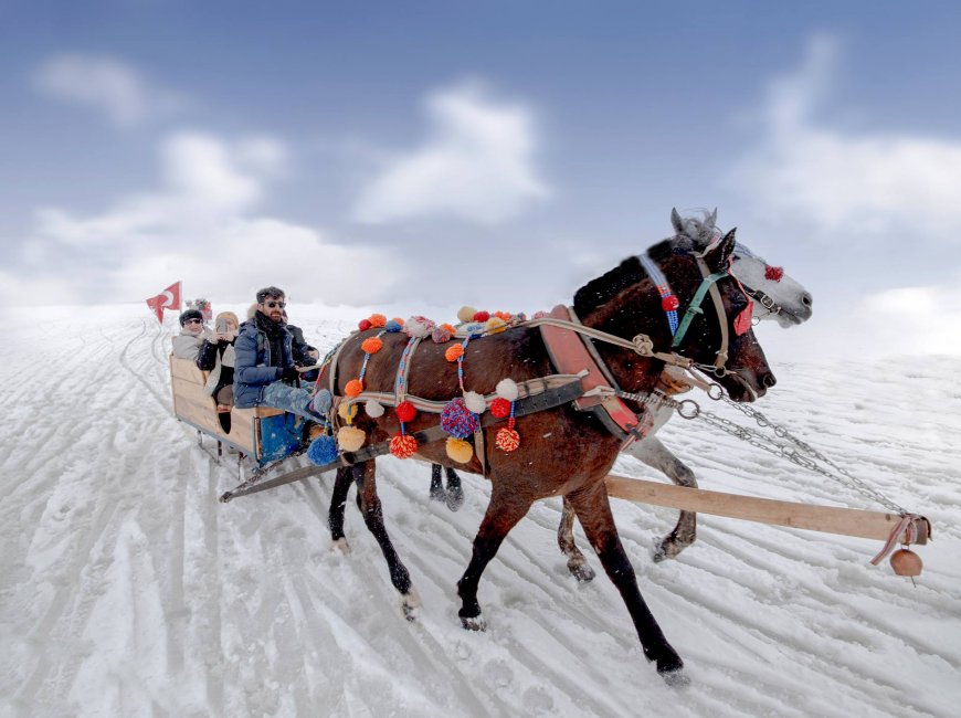 Uçaklı Kars Turları