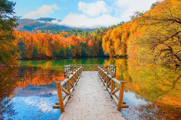 ZONGULDAK ÇIKIŞLI SAFRANBOLU SİNOP ERFELEK KASTAMONU TURU