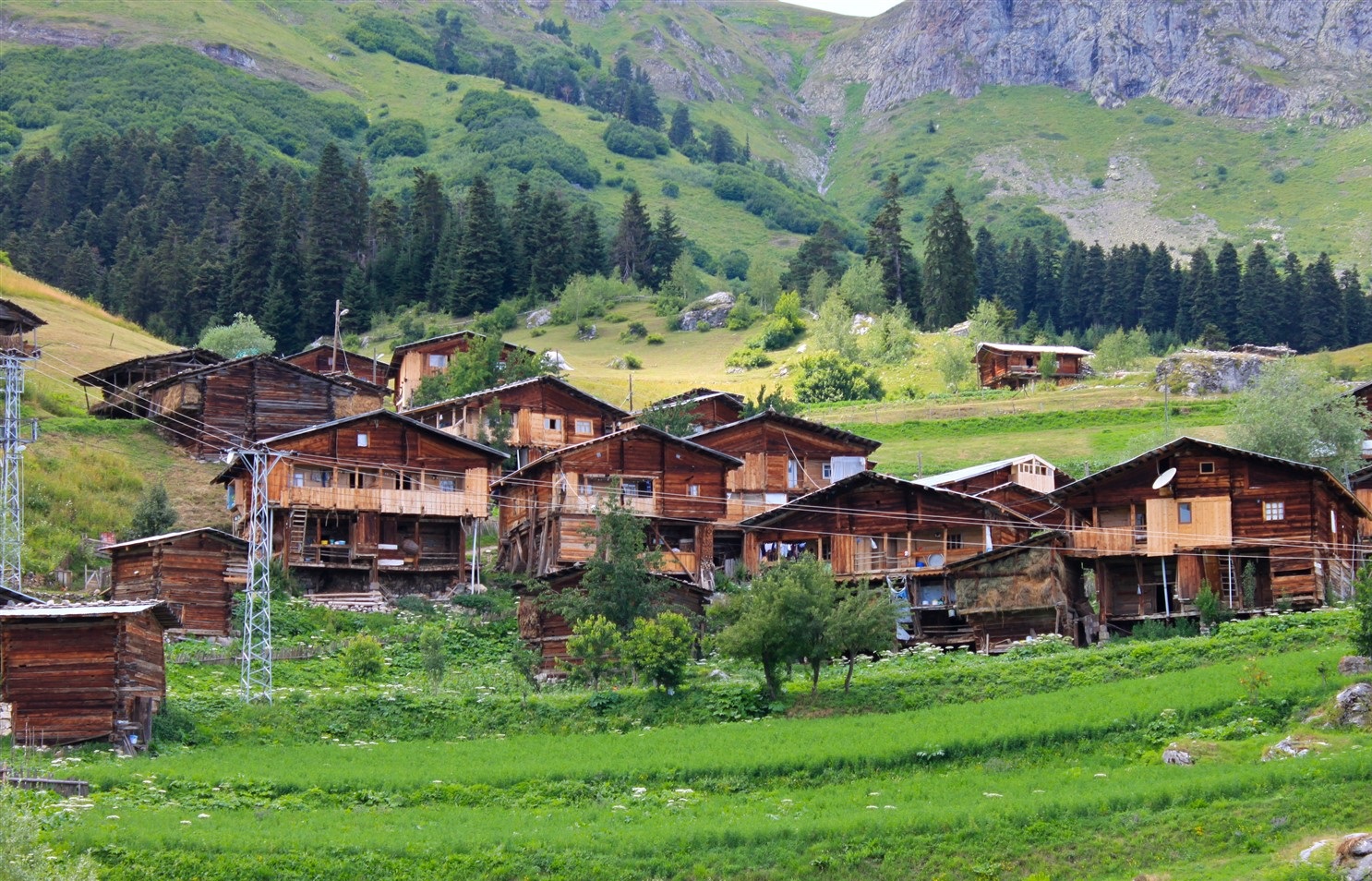 BURSA ÇIKIŞLI UÇAKLI ŞAVŞAT MACAHEL ARTVİN YAYLALARI TURU